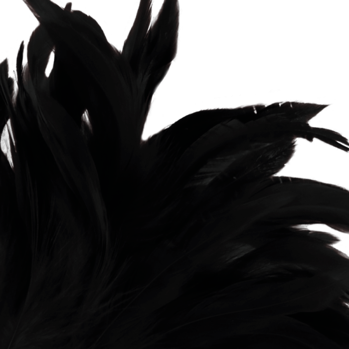 DARKNESS - PLUMA ESTIMULADORA NEGRO LUX - CandyHot - Foto 2