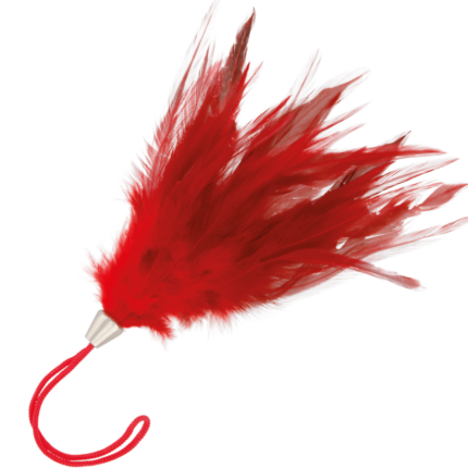 DARKNESS - PLUMA ESTIMULADORA ROJO 17CM - CandyHot - Foto 1