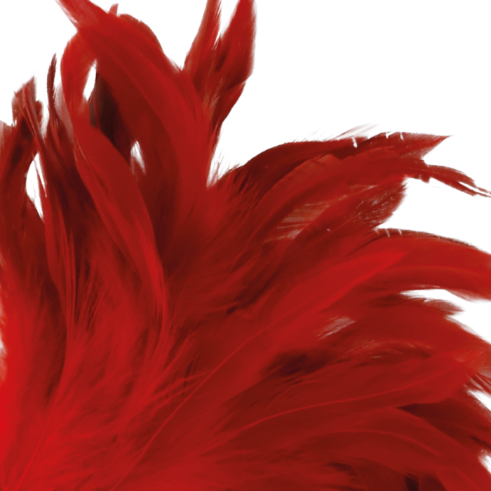 DARKNESS - PLUMA ESTIMULADORA ROJO 24CM - CandyHot - Foto 2