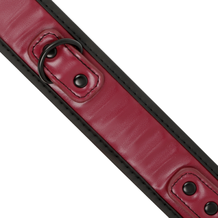 FETISH SUBMISSIVE DARK ROOM - COLLAR CON CADENA CON FORRO DE NEOPRENO - CandyHot - Foto 4