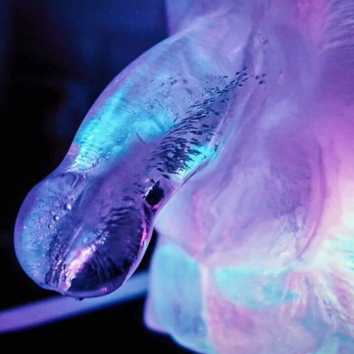 PLAY WIV ME - MOLDE DE HIELO PENE GRANDE - CandyHot - Foto 6