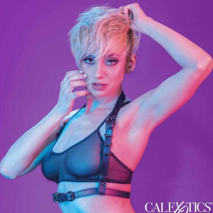 CALEXOTICS - EUPHORIA ARNÉS HATLER CON HEBILLA NEGRO - CandyHot - Foto 1