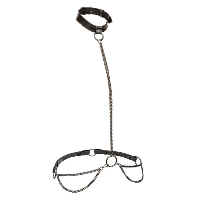 CALEXOTICS - EUPHORIA COLLAR HALTER Y CORREA CON CADENA - CandyHot - Foto 2
