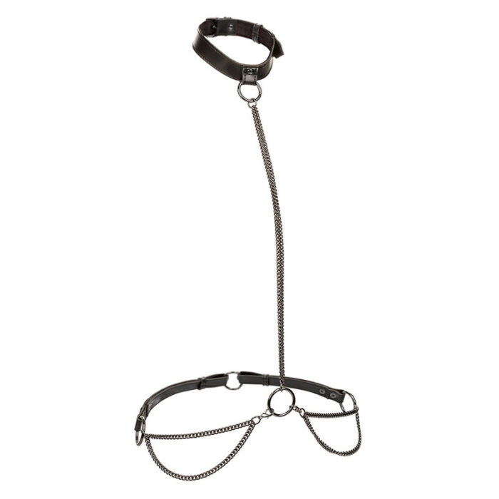 CALEXOTICS - EUPHORIA COLLAR HALTER Y CORREA CON CADENA TALLA PLUS - CandyHot - Foto 2
