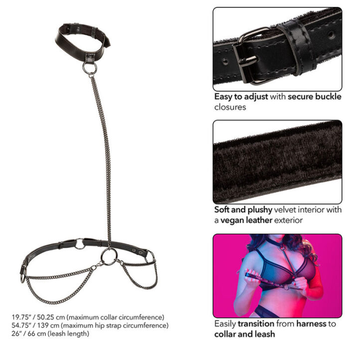 CALEXOTICS - EUPHORIA COLLAR HALTER Y CORREA CON CADENA TALLA PLUS - CandyHot - Foto 5