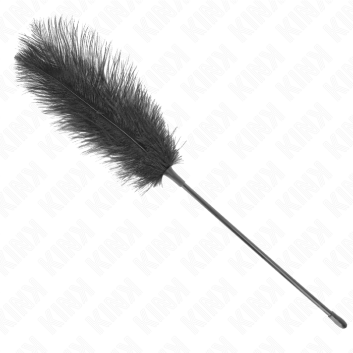 KINK - PLUMAS DE AVESTRUZ PARA COSQUILLAS 19 CM - CandyHot - Foto 1