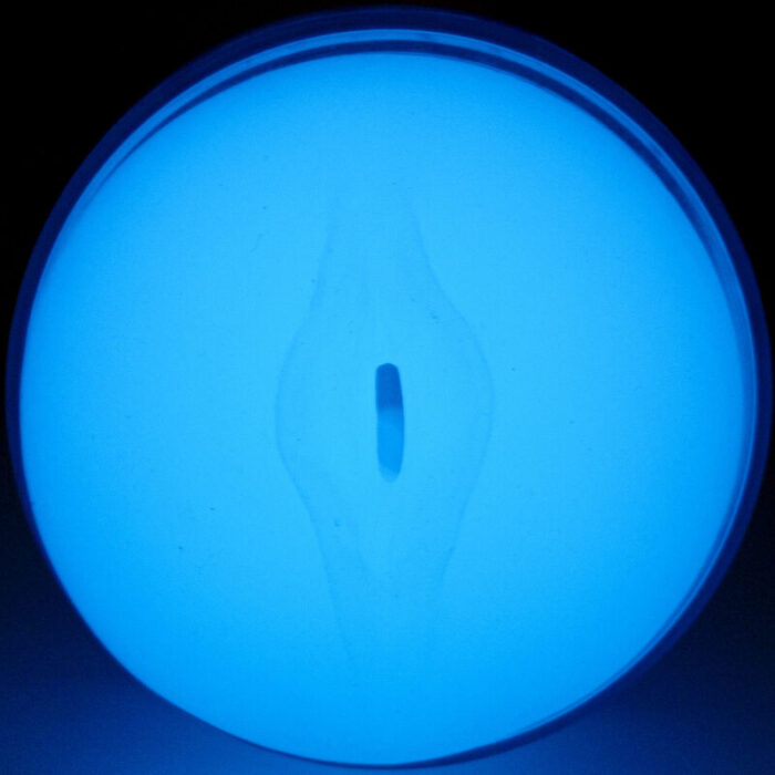 KIIROO - FEEL GLOW IN THE DARK STROKER - CandyHot - Foto 4